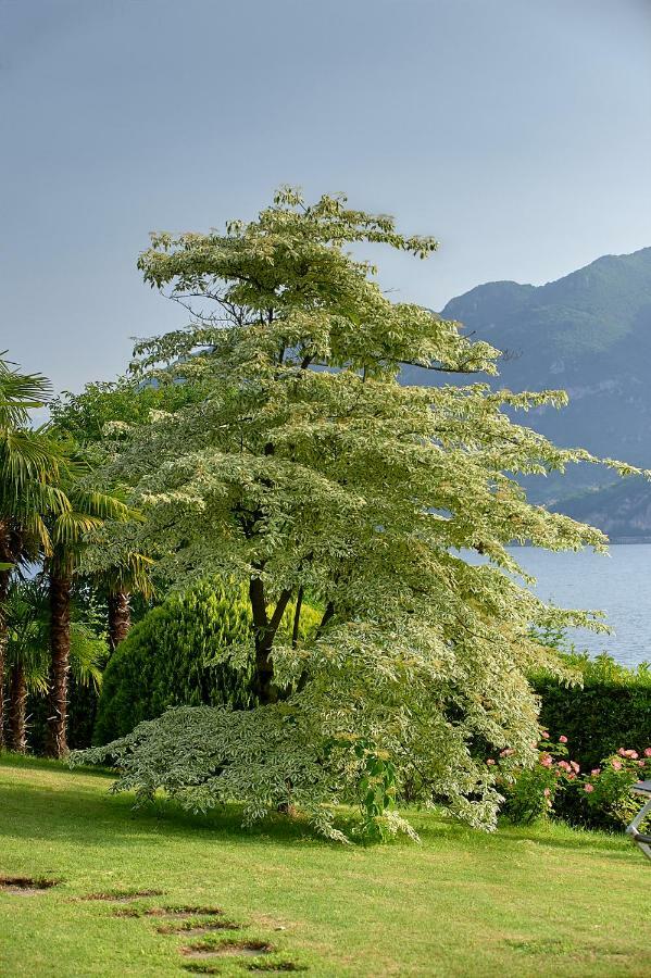 Villa Ucci Onno Экстерьер фото